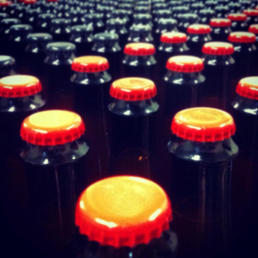 bottling line zen