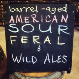 Barrel-aged American sour, feral and wild ales